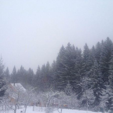 Forest Vibes Spa Cîmpu lui Neag エクステリア 写真