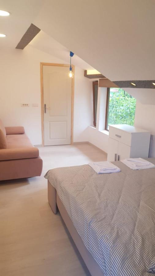 Forest Vibes Spa Cîmpu lui Neag エクステリア 写真