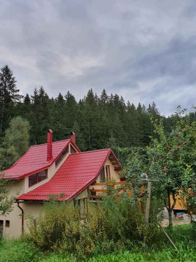 Forest Vibes Spa Cîmpu lui Neag エクステリア 写真