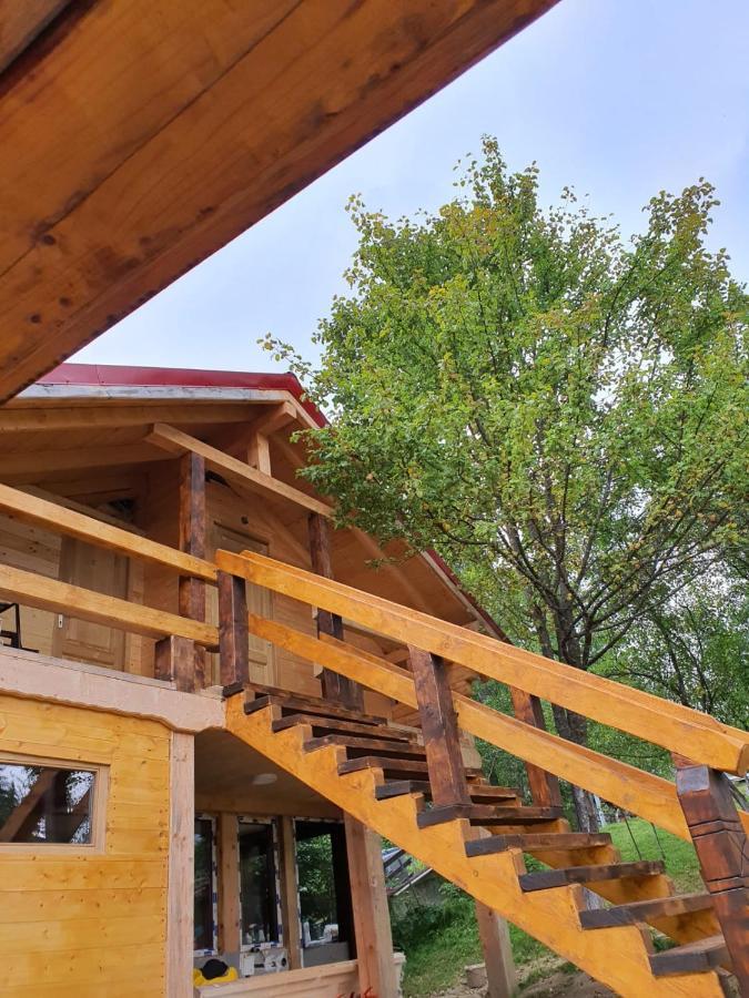 Forest Vibes Spa Cîmpu lui Neag エクステリア 写真