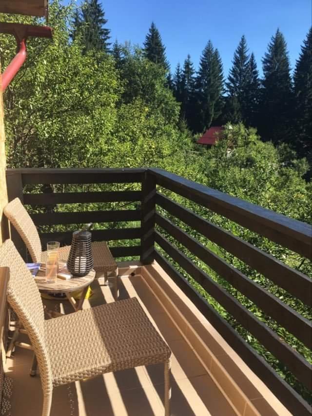 Forest Vibes Spa Cîmpu lui Neag エクステリア 写真