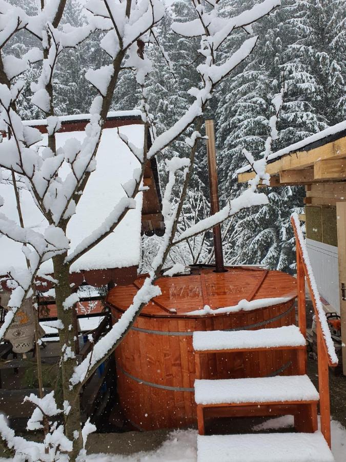 Forest Vibes Spa Cîmpu lui Neag エクステリア 写真