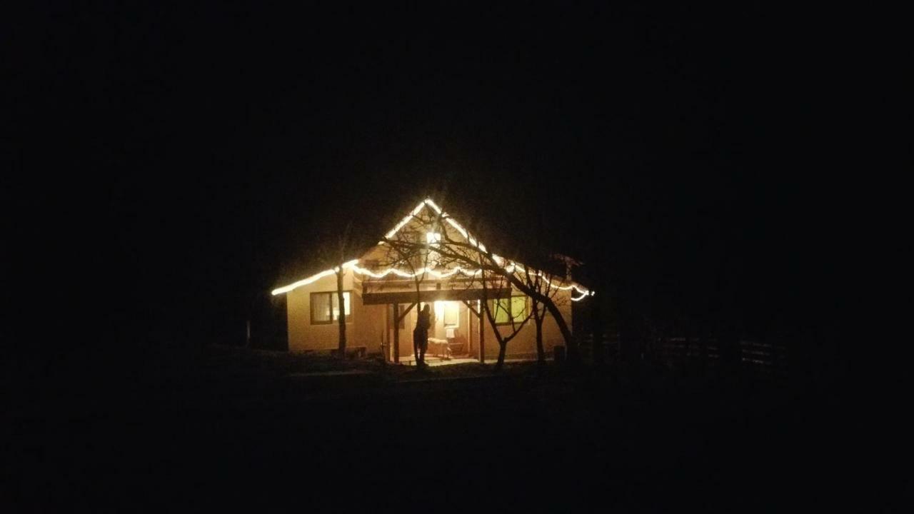 Forest Vibes Spa Cîmpu lui Neag エクステリア 写真