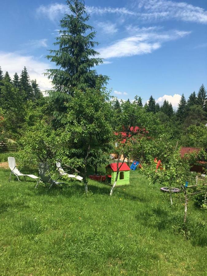 Forest Vibes Spa Cîmpu lui Neag エクステリア 写真