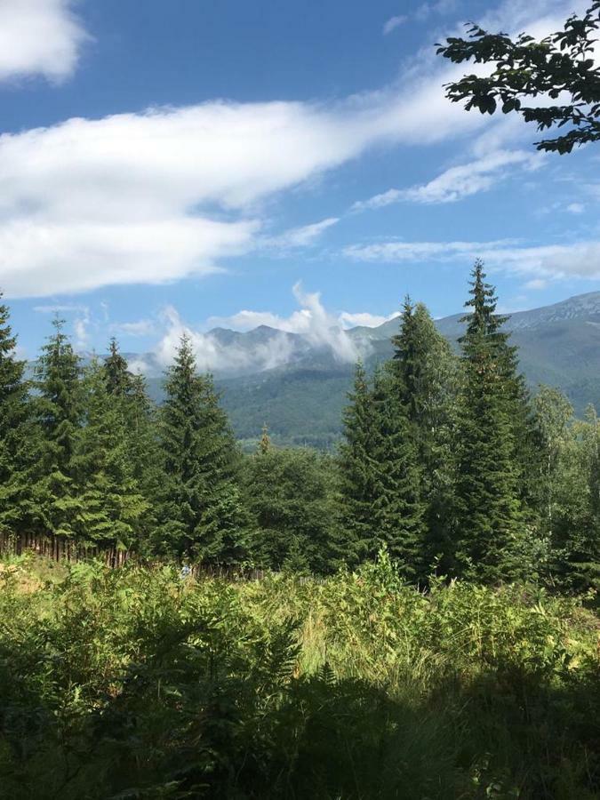 Forest Vibes Spa Cîmpu lui Neag エクステリア 写真