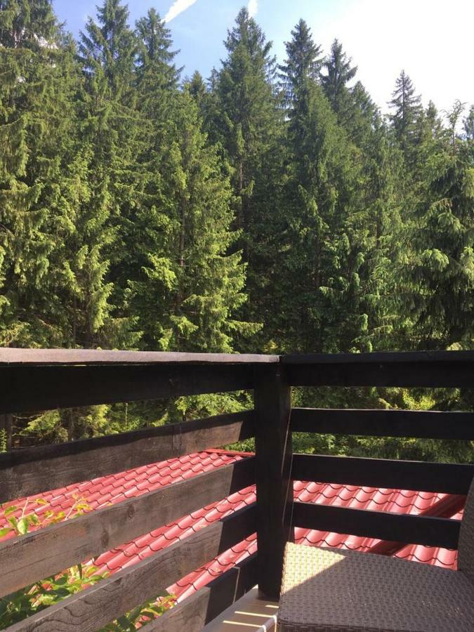 Forest Vibes Spa Cîmpu lui Neag エクステリア 写真