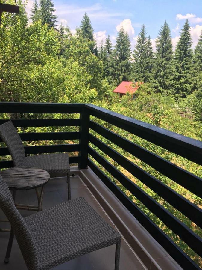 Forest Vibes Spa Cîmpu lui Neag エクステリア 写真